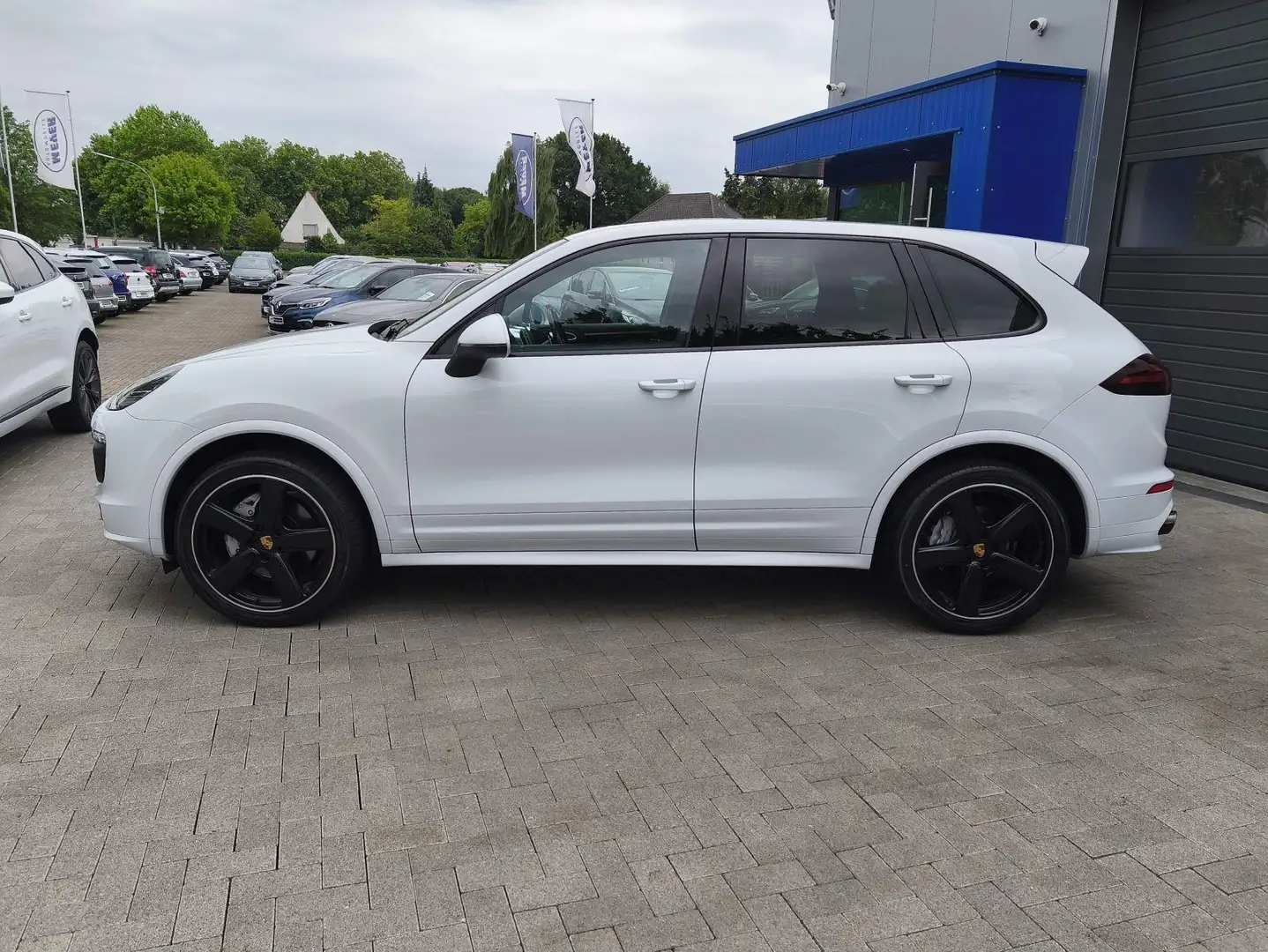 Porsche Cayenne S Platinum LED/Pano/Leder/AHK/BOSE/4xSHZ Bianco - 2