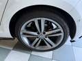 Volkswagen Golf 5p 1.4 tsi Sport Edition 125cv dsg R line Bianco - thumbnail 7