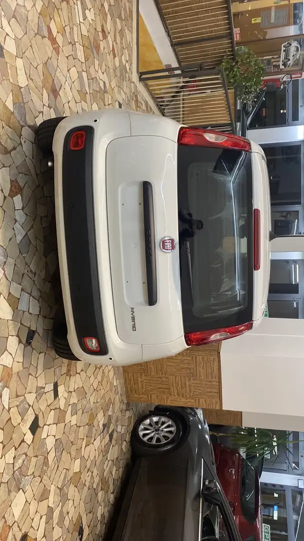 Fiat Panda Pandina III 2024 Pandina 1.0 firefly hybrid s Bianco - 1