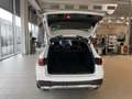 Mercedes-Benz GLC 220 d 4Matic 4Matic 2xKlima AHK AUT Facelift Weiß - thumbnail 21
