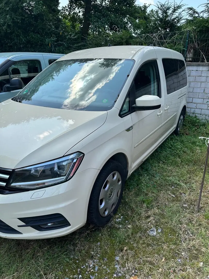 Volkswagen Caddy 2.0 TDI (7-Si.) DSG Maxi,EURO6,LED,Leder,Automatik Gelb - 1