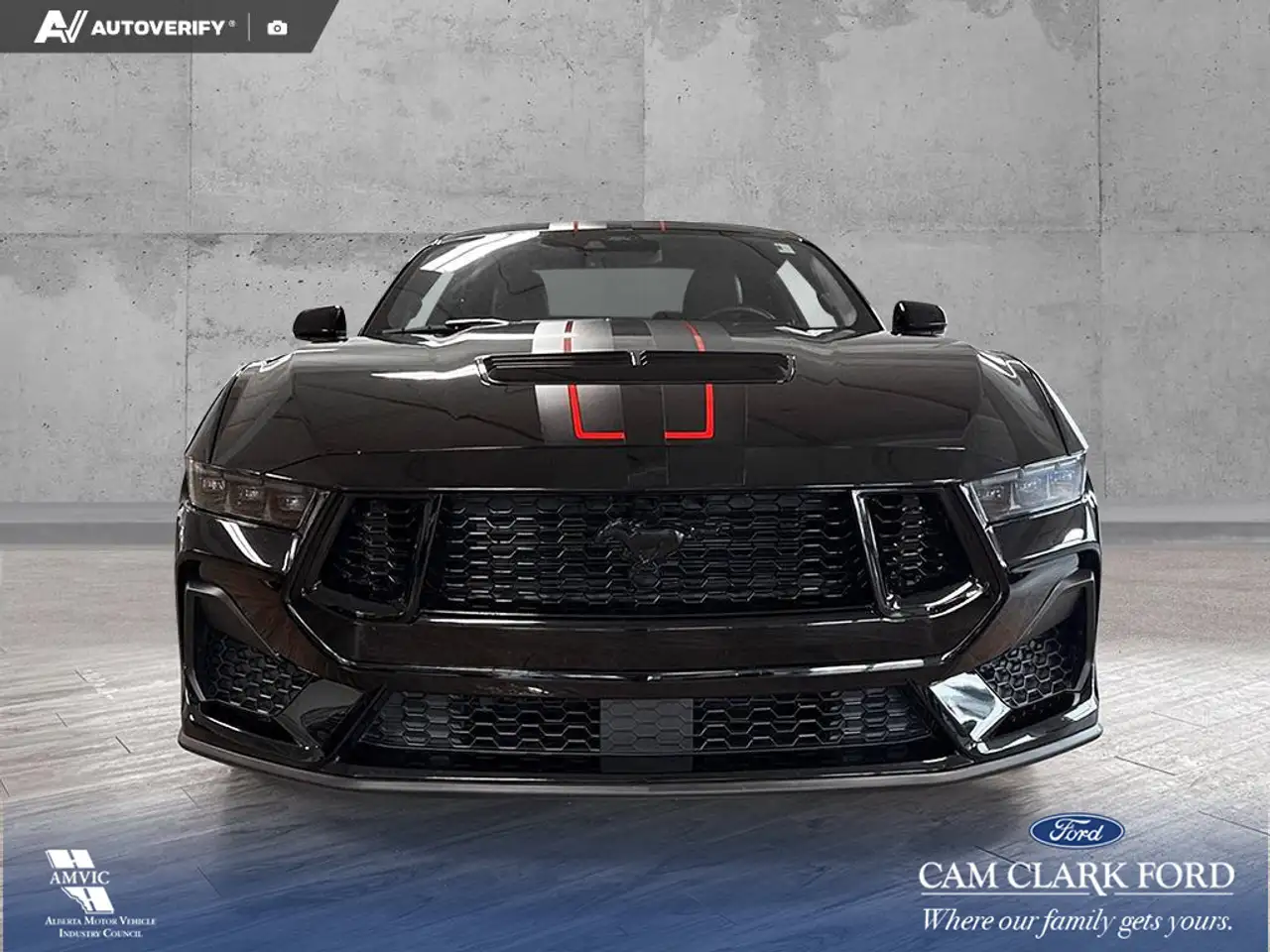 Ford Mustang photo Ford Mustang