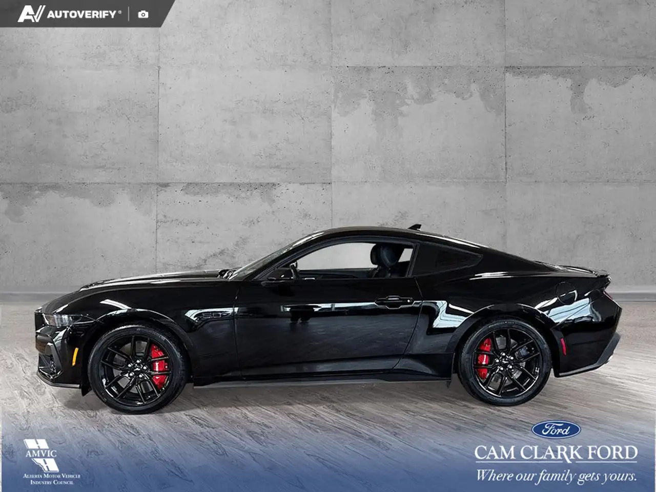 Ford Mustang photo Ford Mustang