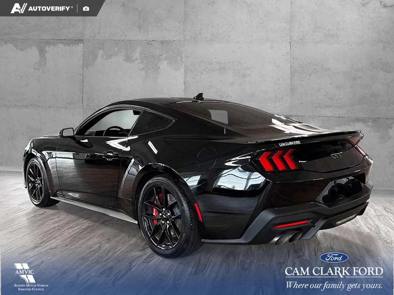 Ford Mustang photo Ford Mustang