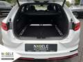 Kia ProCeed / pro_cee'd Proceed GT 1.6 T-GDI|Navi+LED+Leder+ACC+Panorama Weiß - thumbnail 11