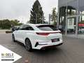 Kia ProCeed / pro_cee'd Proceed GT 1.6 T-GDI|Navi+LED+Leder+ACC+Panorama Weiß - thumbnail 4