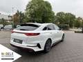 Kia ProCeed / pro_cee'd Proceed GT 1.6 T-GDI|Navi+LED+Leder+ACC+Panorama Weiß - thumbnail 5