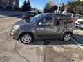 Fiat Panda Panda 1.0 FireFly S&S Hybrid Grigio - thumbnail 2