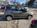 Fiat Panda Panda 1.0 FireFly S&S Hybrid Grigio - thumbnail 4