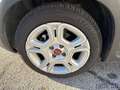 Fiat Panda Panda 1.0 FireFly S&S Hybrid Grigio - thumbnail 8