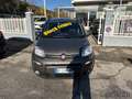 Fiat Panda Panda 1.0 FireFly S&S Hybrid Grigio - thumbnail 5