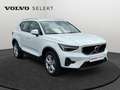 Volvo XC40 Momentum Blanc - thumbnail 8
