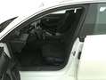 Peugeot 508 SW Business EAT8 2.0 Diesel 163CV Bianco - thumbnail 10