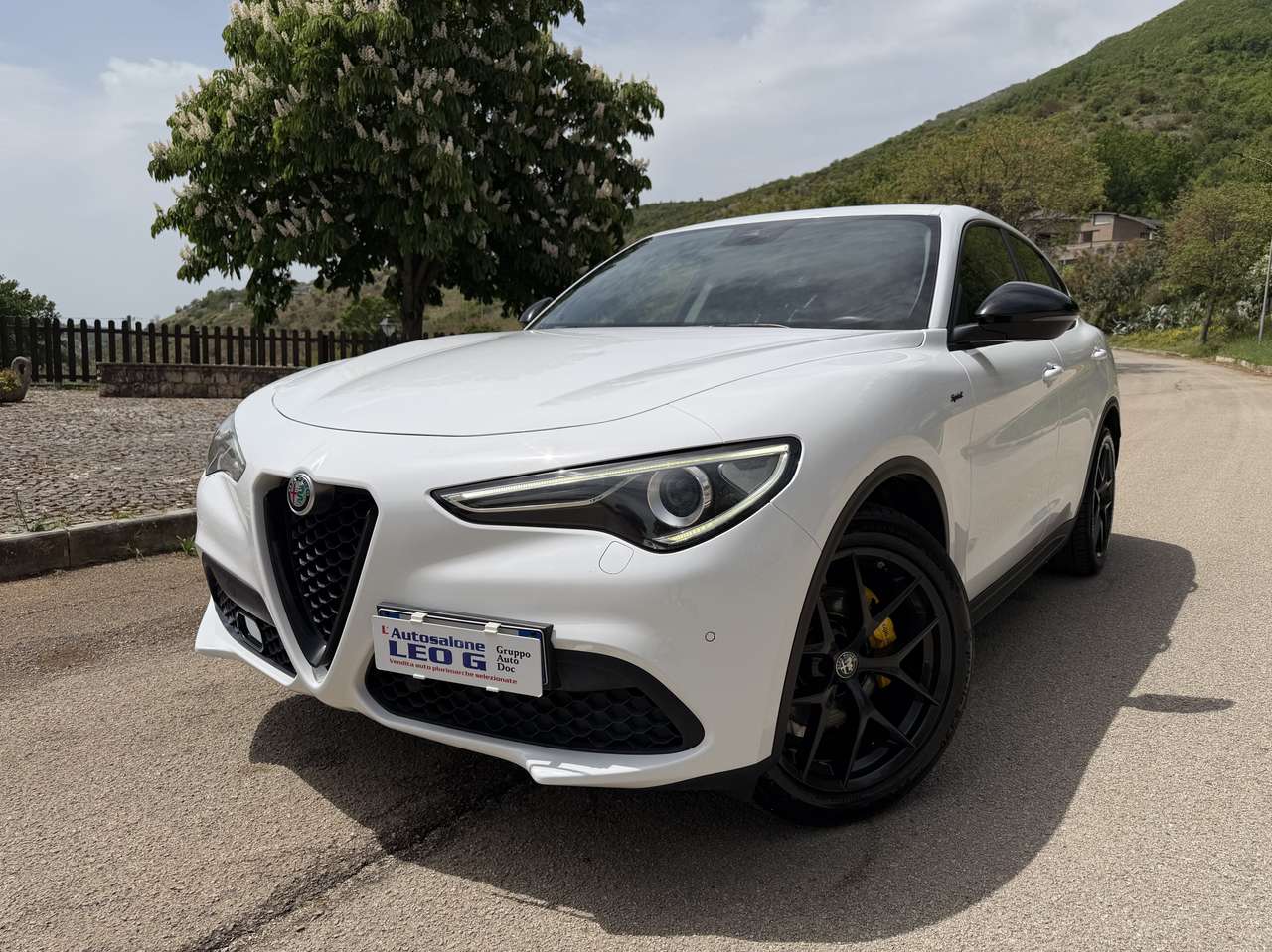Alfa Romeo Stelvio 2.2 Turbodiesel 190cv AT8 Q4 Sprint..Navi..Pelle..
