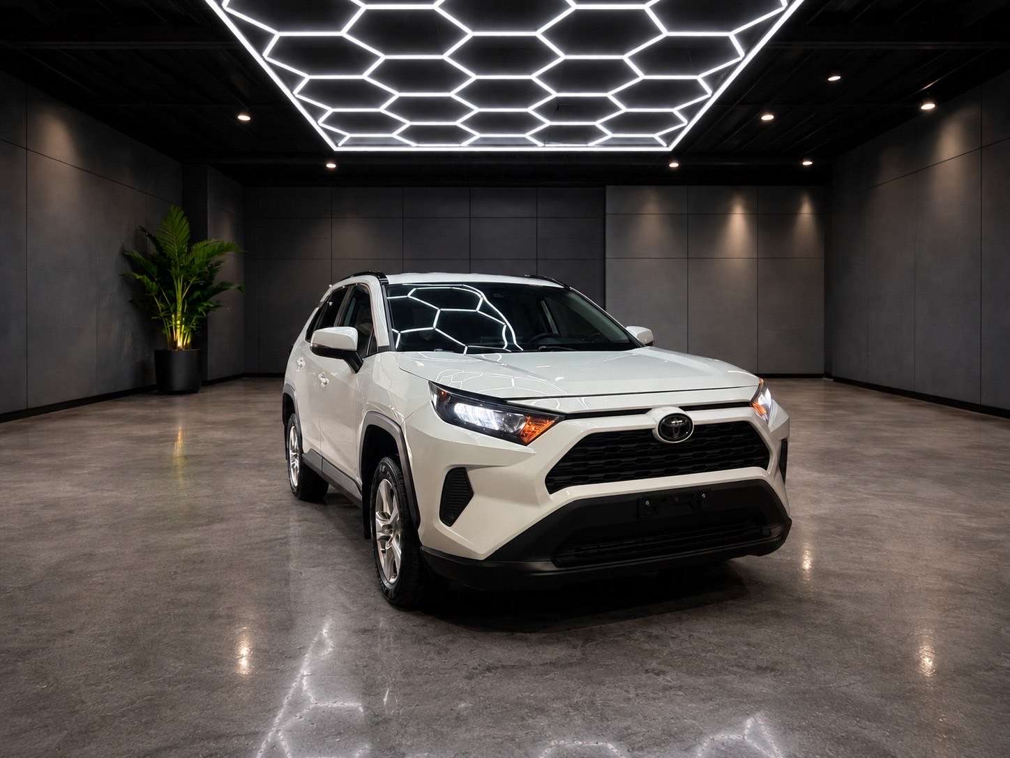 2019 Toyota RAV 4 AWD LE
