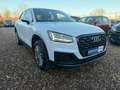 Audi Q2 1.6 Diesel Sport*TÜV NEU*Garantie* Weiß - thumbnail 3