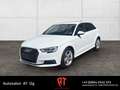 Audi A3 40 e-tron sport Blanc - thumbnail 1