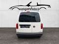 Volkswagen Caddy Caddy Kastenwagen TSI, PDC, Klima, NAVI, Weiß - thumbnail 5