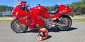 Suzuki Hayabusa Hayabusa GT500 Shelby Cobra Rojo - thumbnail 50