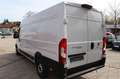 Fiat Ducato Maxi  35 Serie 8 - 140 L5H2 RS: 4035 Weiß - thumbnail 5