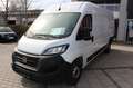 Fiat Ducato Maxi  35 Serie 8 - 140 L5H2 RS: 4035 Weiß - thumbnail 6