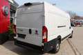 Fiat Ducato Maxi  35 Serie 8 - 140 L5H2 RS: 4035 Weiß - thumbnail 3