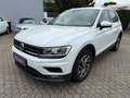 Volkswagen Tiguan Sound BMT/Start-Stopp DSG Automatik Weiß - thumbnail 1