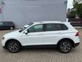 Volkswagen Tiguan Sound BMT/Start-Stopp DSG Automatik Weiß - thumbnail 6