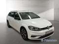 Volkswagen Golf VII Variant IQ.DRIVE 1.0 TSI NAVI ACC APP-C. SITZH Weiß - thumbnail 5