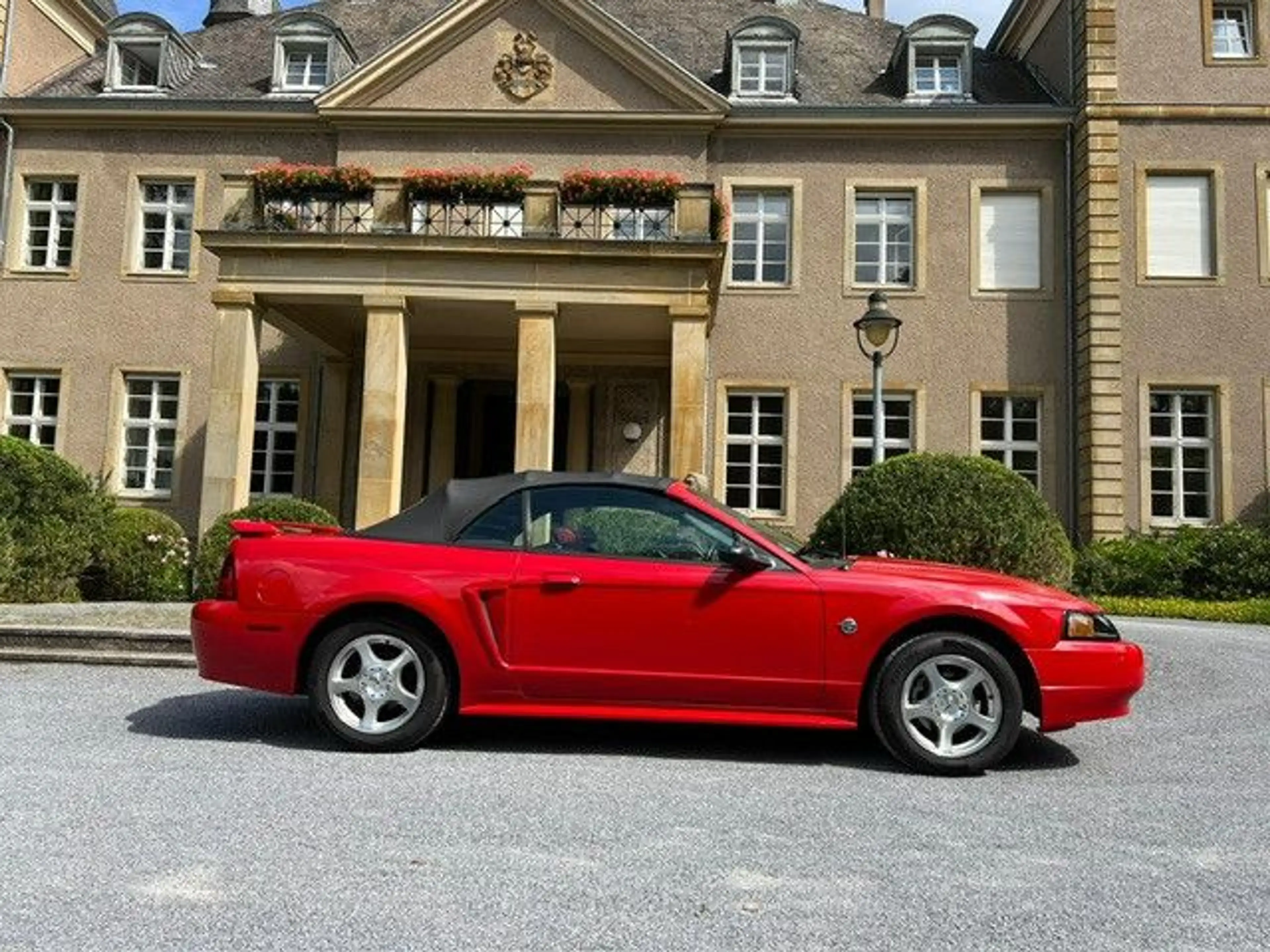 Ford Mustang Leder — photo 4