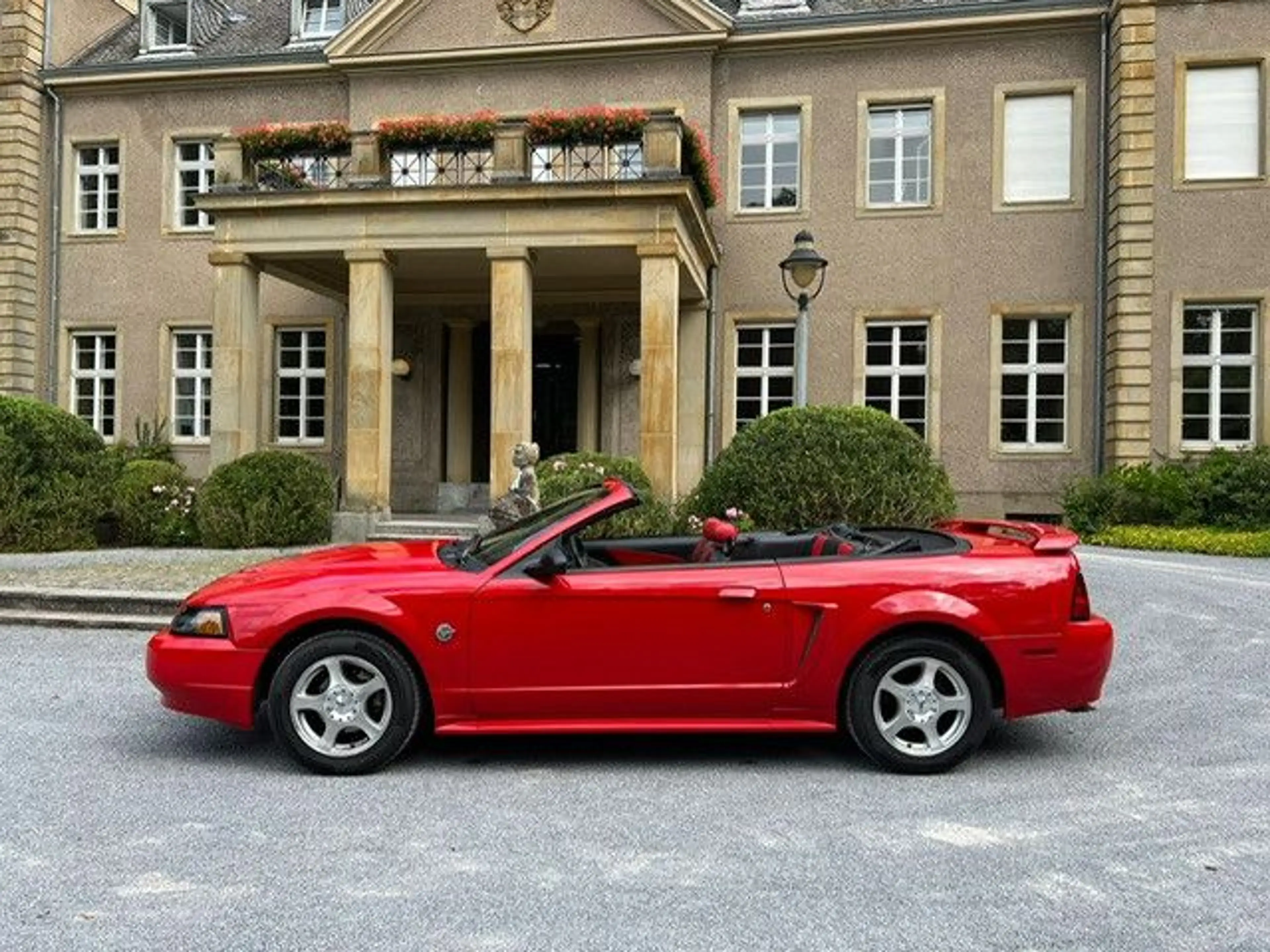 Ford Mustang Leder — photo 3