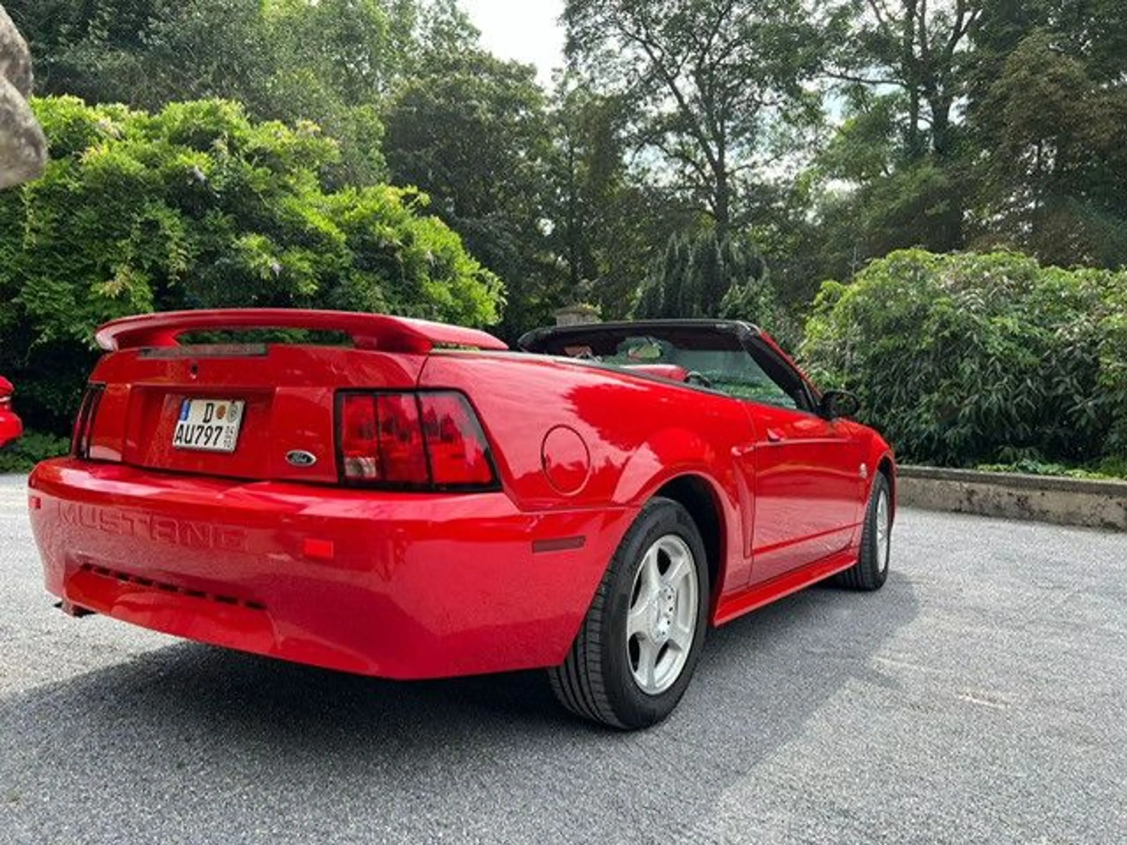 Ford Mustang Leder — photo 5