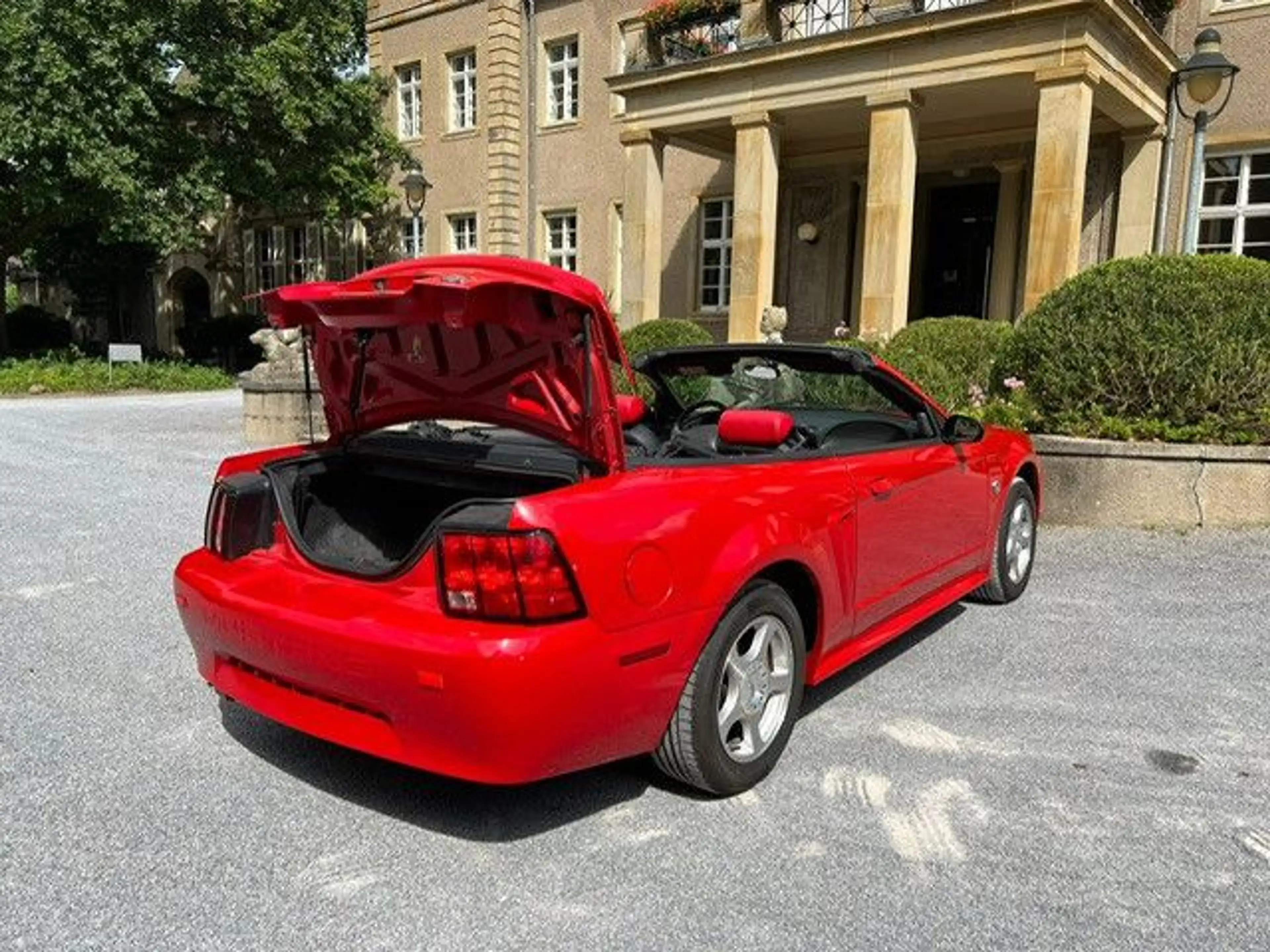 Ford Mustang Leder — photo 9