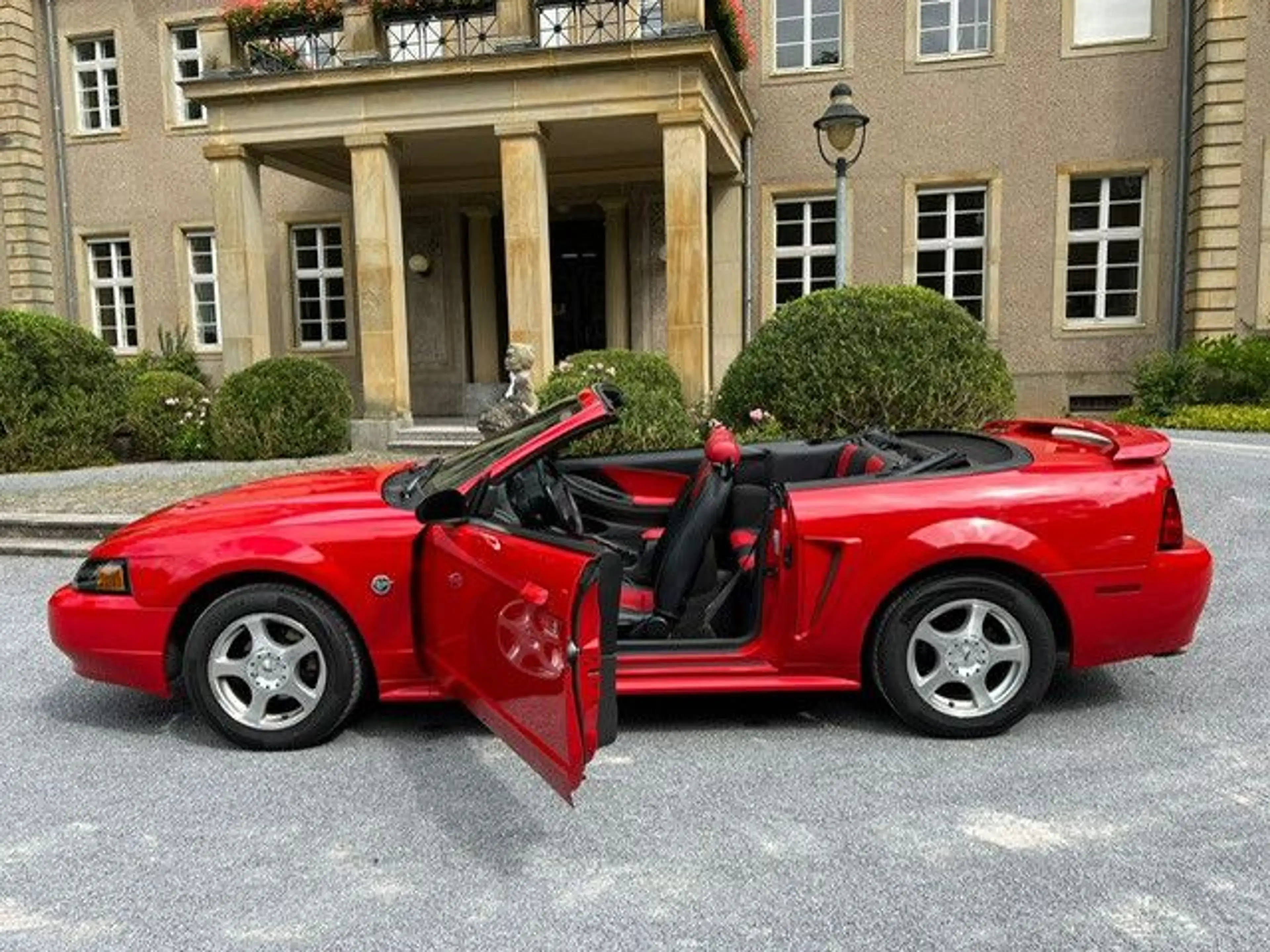 Ford Mustang Leder — photo 11