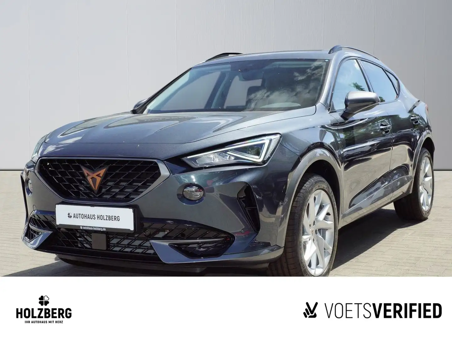 CUPRA Formentor 1.5 TSI NAVI+ACC+SHZ Grau - 1