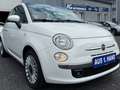 Fiat 500 Lounge KLIMA/PDC/ALLWETTER/PANORAMA AUS 1. HAND!!! Bianco - thumbnail 1