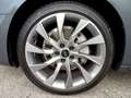 Audi A4 Avant 40 TDI quattro S line Competition/Navi Grau - thumbnail 17