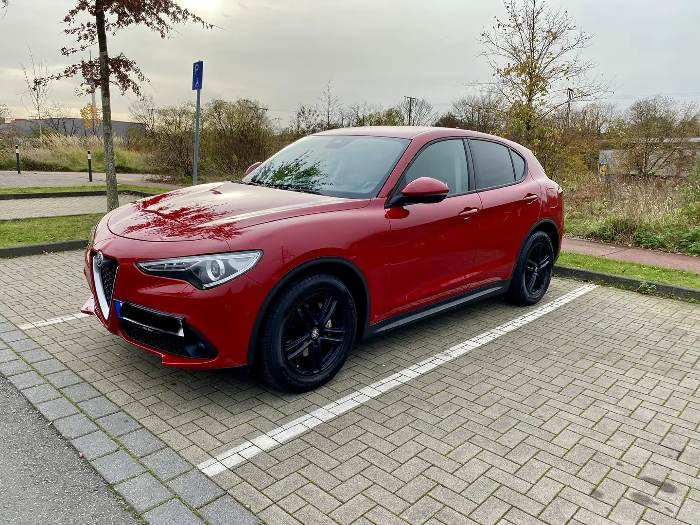 Alfa Romeo Stelvio 2.2 Diesel 16V AT8 Super Красный - 2