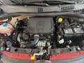 Fiat Panda Cross 1.0 FireFly S&S Hybrid PROMO CAR SERENITY Rosso - thumbnail 25