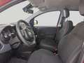 Fiat Panda Cross 1.0 FireFly S&S Hybrid PROMO CAR SERENITY Rosso - thumbnail 14