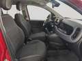 Fiat Panda Cross 1.0 FireFly S&S Hybrid PROMO CAR SERENITY Rosso - thumbnail 15