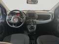 Fiat Panda Cross 1.0 FireFly S&S Hybrid PROMO CAR SERENITY Rosso - thumbnail 17
