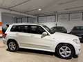 Mercedes-Benz GLK 250 CDI 4Matic Sport AUTOMATICA-SENSORI Blanco - thumbnail 1