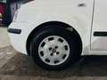 Fiat Panda Panda 1.2i Eco - Euro5 - GARANTIE Weiß - thumbnail 26