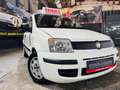 Fiat Panda Panda 1.2i Eco - Euro5 - GARANTIE Weiß - thumbnail 2