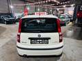 Fiat Panda Panda 1.2i Eco - Euro5 - GARANTIE Weiß - thumbnail 6