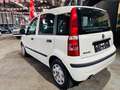 Fiat Panda Panda 1.2i Eco - Euro5 - GARANTIE Weiß - thumbnail 4