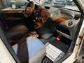 Fiat Panda Panda 1.2i Eco - Euro5 - GARANTIE Weiß - thumbnail 13