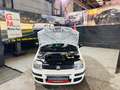 Fiat Panda Panda 1.2i Eco - Euro5 - GARANTIE Weiß - thumbnail 7
