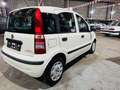 Fiat Panda Panda 1.2i Eco - Euro5 - GARANTIE Weiß - thumbnail 5